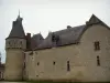 Castelo de Fougères-sur-Bièvre - Castle