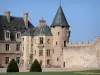 Castelo de La Palice - Fachada, torre e muralha do castelo; na Lapalisse