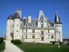 O castelo de La Rochefoucauld - Castelo de La Rochefoucauld: Castelo ladeado por torres, calçada forrada com gramados e arbustos aparados