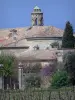 Castillo-Abadía de Cassan - Castillo-Abadía (ex convento real), el campanario, los árboles y las vides, en Roujan