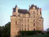 Castillo de Brissac - Castillo, en Brissac-Quincé