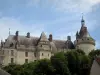 Castillo de Chaumont-sur-Loire - Castillo y árbol