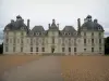 Castillo de Cheverny - Paseo a la entrada del castillo de los clásicos