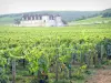 Castillo de Clos de Vougeot - Castillo rodeado de viñedos, en el corazón de los viñedos de Côte de Nuits