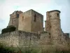 Castillo de Magrin - Castillo alberga el Museo de pastel