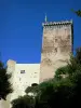 Castillo de Mauvezin - Torre de la Plaza de la fortaleza medieval (Museo de Historia y folklore) en los Baronnies