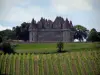 Castillo de Monbazillac - Castillo, árboles y vides (viñedos de Bergerac)