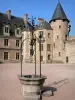 Castillo de La Palice - Patio adornado con una fachada bien y la torre del castillo, en Lapalisse