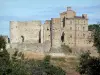 Castillo de Portes - Fortaleza medieval y bastión del Renacimiento, en la región de Cevennes