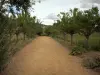 Castillo de La Roche-Guyon - Huerto de frutas y verduras del castillo