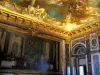 Castillo de Versalles - Interior del castillo: salón Hércules