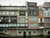 Castres - Vieilles maisons sur l'Agout (rivière)