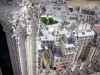 Cathédrale Notre-Dame de Paris - Vue plongeante sur les toits de Paris 