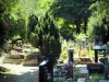 Cemetery of the Dogs of Asnières-sur-Seine - Graves in the Dog Cemetery in a green setting