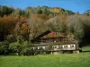 Chablais - Alpine pasture (high meadow), trees, cut wood, ancient chalet and forest (trees) in autumn in Haut-Chablais