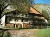 Chablais - Cut wood, chalet with wooden balconies, trees and mountain (massif) in Haut-Chablais
