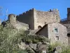Chalencon - Medieval castle of Chalencon on its rocky outcrop; in the town of Saint-André-de-Chalencon