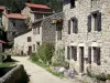 Chalencon - Facades of stone houses in the medieval village
