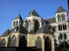 Châlons-en-Champagne - Catedral de San Esteban de estilo gótico