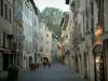 Chambéry - Paved street in the old town with its shops and its houses