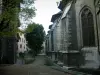 Chambéry - Catedral de San Francisco de Sales, árboles y casas en el casco antiguo