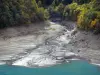 Chambon lake - Turquoise water reservoir and bank lined with trees; in the Romanche valley