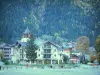 Chamonix-Mont-Blanc - Winter and summer sports resort (climbing capital): residences and forest