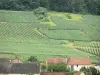 Champagne wijngaarden - Daken van huizen, velden en wijngaarden van de Champagne