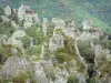 Chaos van Montpellier-le-Vieux - Ruiniformes Dolomietrotsen in een groene omgeving