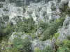Chaos van Montpellier-le-Vieux - Rocky chaos ruiniform