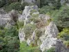 Chaos van Montpellier-le-Vieux - Dolomiet rotsen omgeven door groen