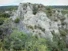 Chaos van Montpellier-le-Vieux - Ruiniform rotsachtige chaos in een groene
