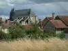 Chaource - Ervas silvestres, árvores, casas da aldeia, Igreja de Saint-Jean-Baptiste e céu nublado