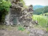 Chapelle monolithe de Fontanges - Sommet du rocher avec vue sur le paysage verdoyant alentour