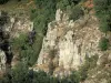 Chassezac gorges - Rock walls and vegetation of the granite gorges; in the Cévennes National Park