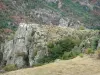 Chassezac gorges - Rock walls and vegetation of the granite gorges; in the Cévennes National Park
