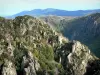 Chassezac gorges - View of the granite gorges; in the Cévennes National Park