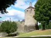 Chastellux castle - Tour Saint-Jean and wooded park