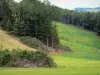 Châtaigneraie cantalienne - Prés en lisière de forêt