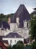Château d'Azay-le-Ferron - Fachada de las casas del castillo y el pueblo, en el Parque Natural Regional de la Brenne
