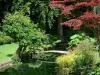 Château de Courances - Japanese garden and its plants along the water
