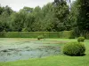 Château de Courances - Part of the château: Gerbe fountain, cut shrubs and trees