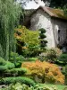 Château de Courances - Mill and plants of the Japanese garden