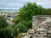 Château-Thierry - Balhan punto de vista de la torre, los tejados de la ciudad y el valle del Marne desde las murallas