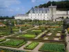 Château de Villandry and gardens - Castle and its keep dominating the vegetable garden (vegetables and flowers)