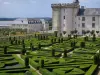 Château de Villandry and gardens - Keep of the castle and ornament garden