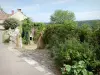 Châteauneuf - Village houses in a green setting