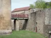 Châteauneuf - Zanja y fortificaciones del castillo