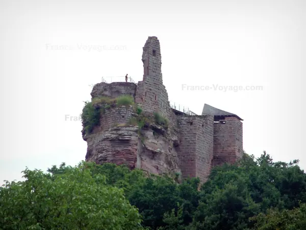 Les châteaux des Vosges du Nord - Guide Tourisme & Vacances