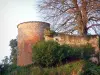 Châtillon-sur-Chalaronne - Recorrido por el antiguo castillo y el árbol con el color del otoño
